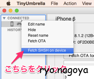 Fetch SHSH on device をクリック
